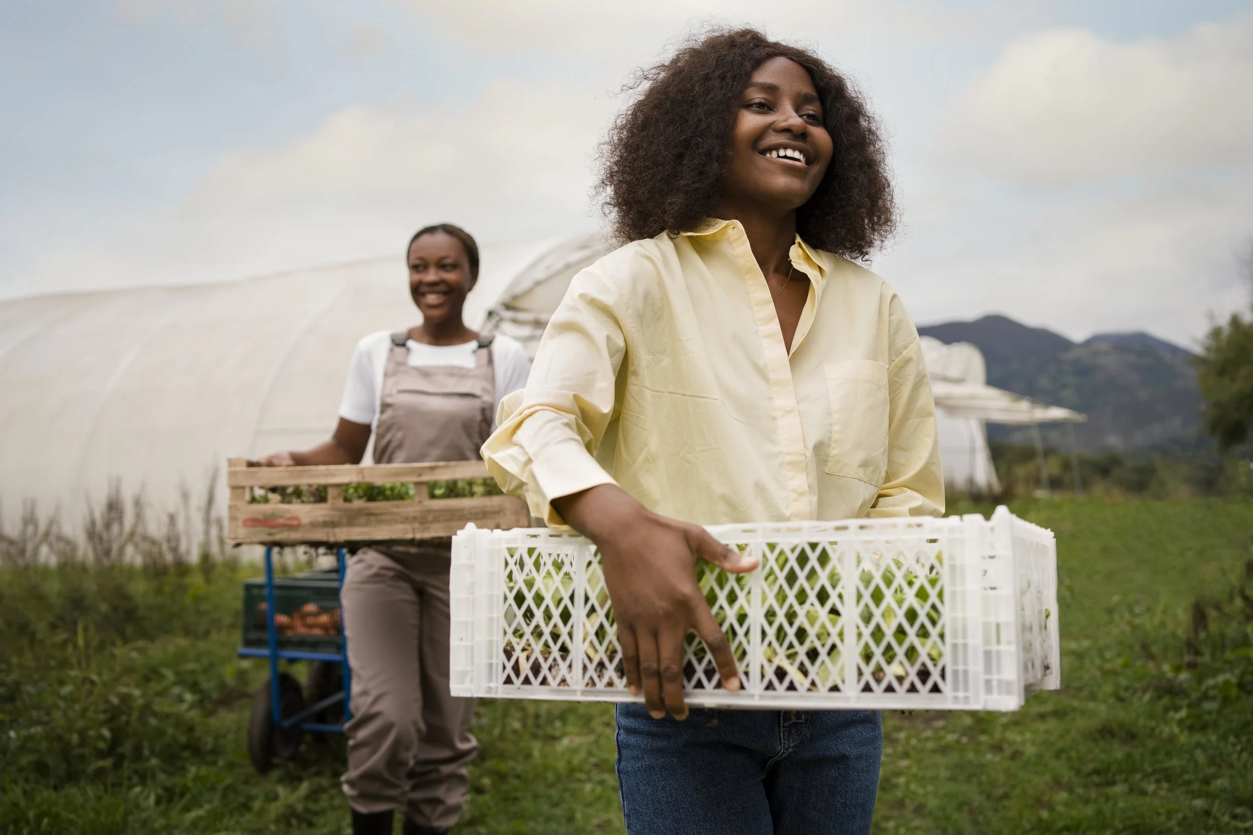 women-working-together-front-view.jpg