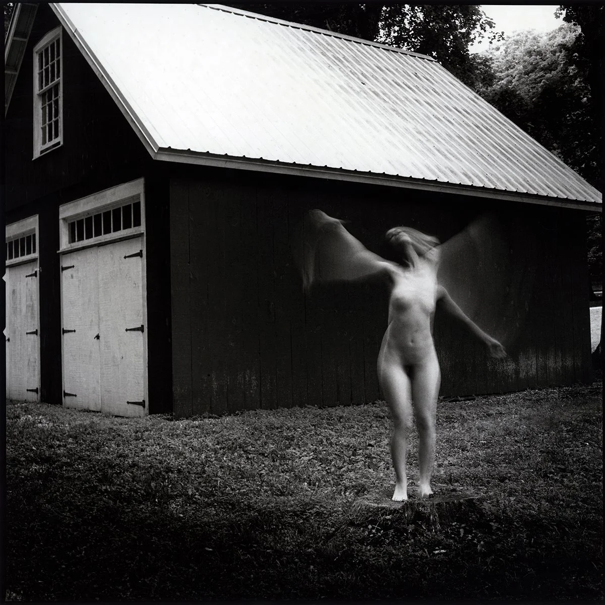 Tree of the Dead
self portrait

2015
Silver gelatin print