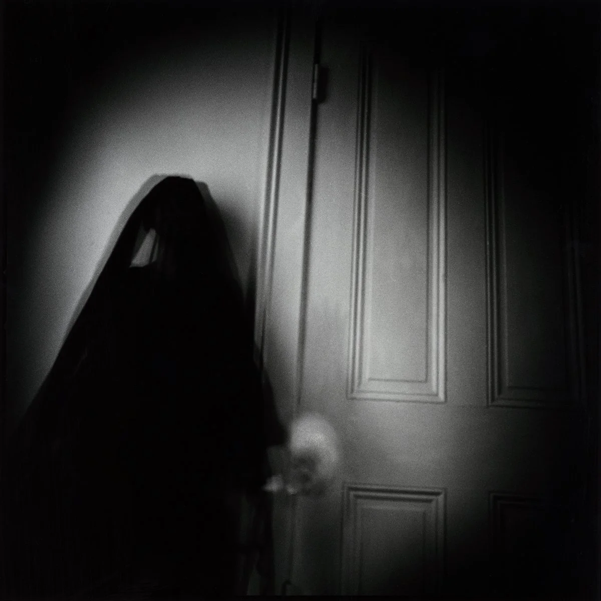 The Shadow
self portrait featuring Daphne 

2015
Silver gelatin print