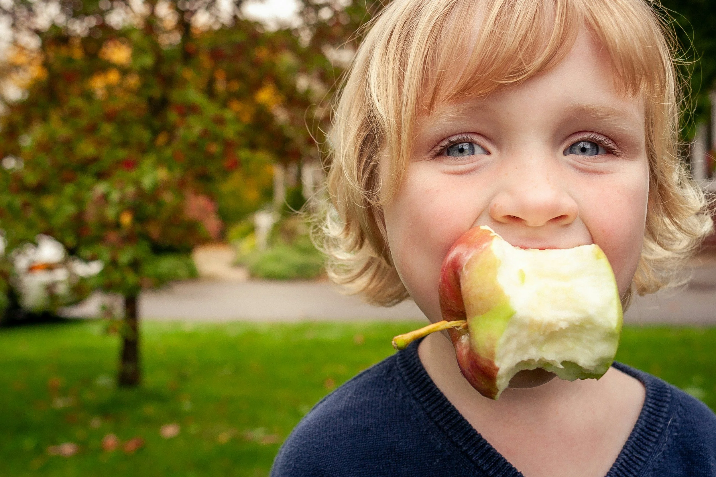 Young child with blond hair and blue eyes eating a large partially eaten apple outdoors.