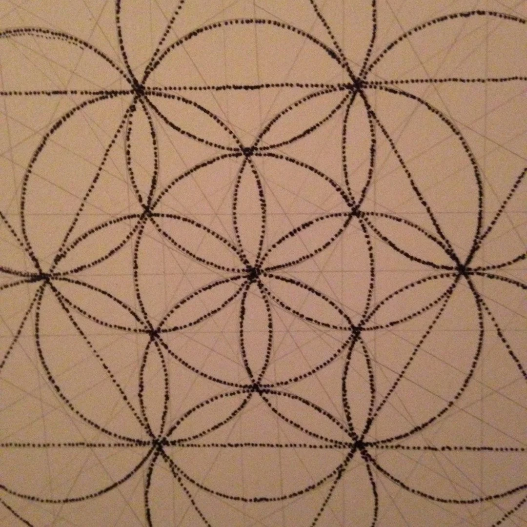 FoL_Detail (1).JPG