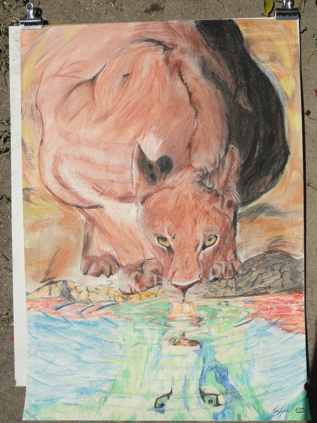 Lioness (Large).JPG