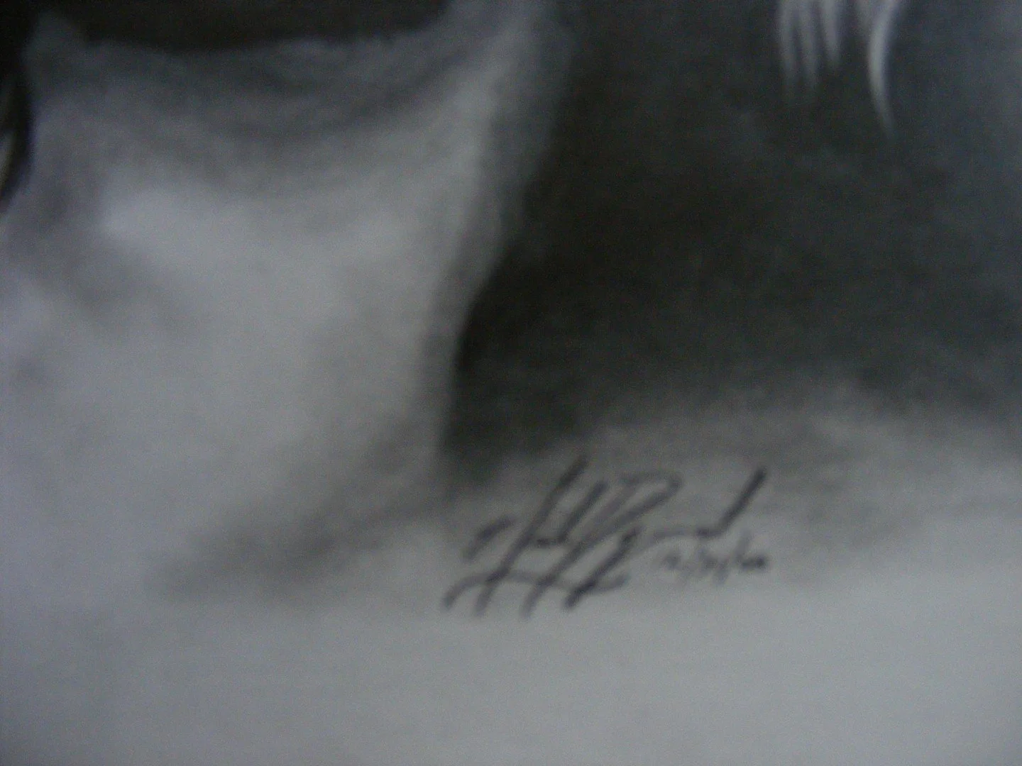 Depp_Detail (3).JPG