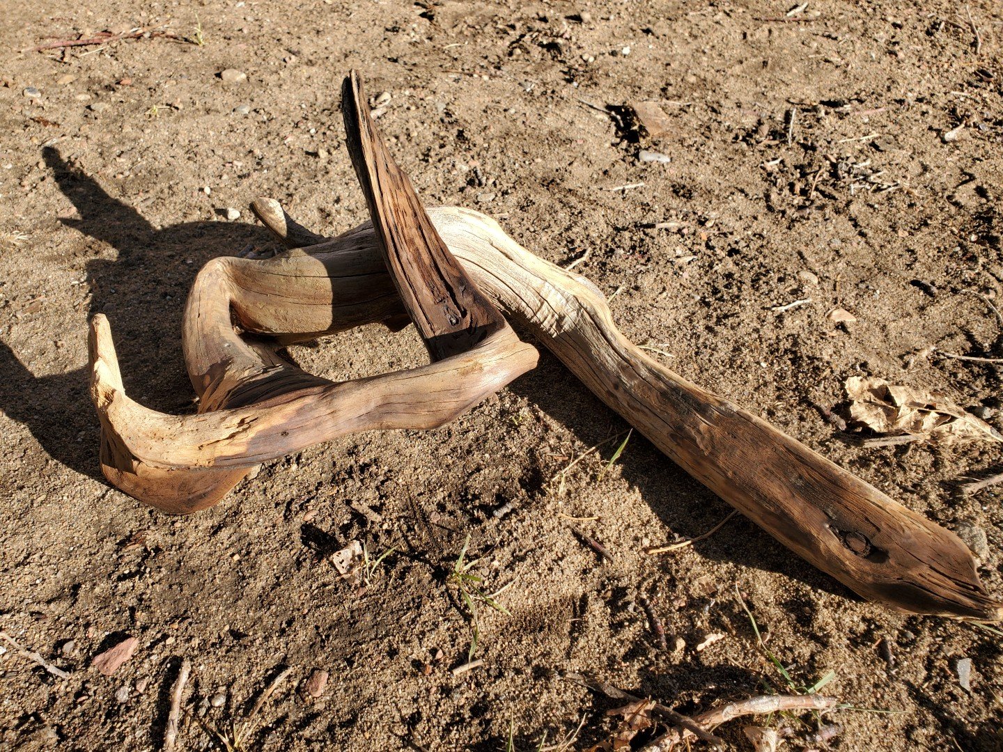 Wonky Root_Progress (7).jpg