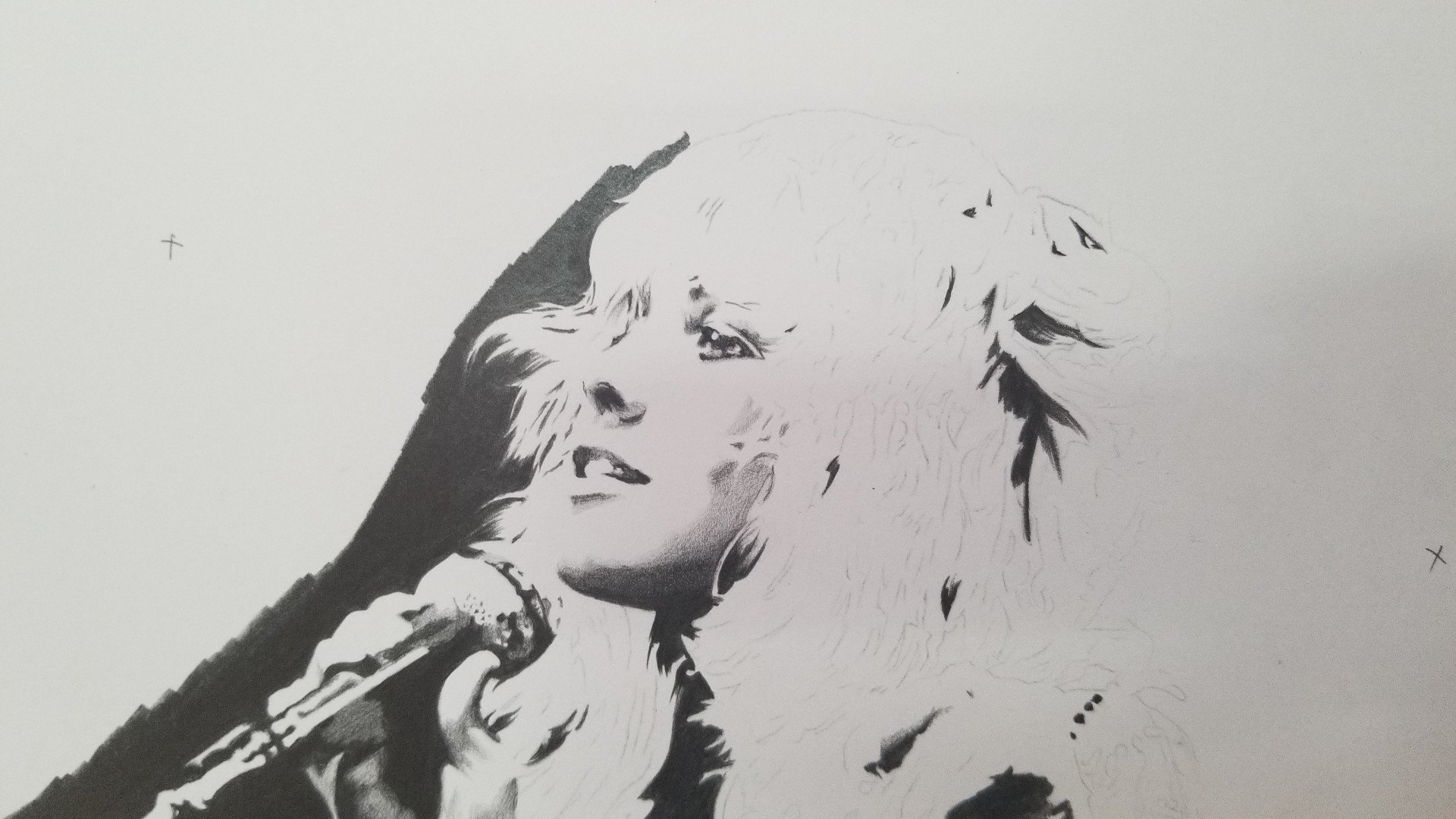 Stevie Nicks_Detail (1).jpg