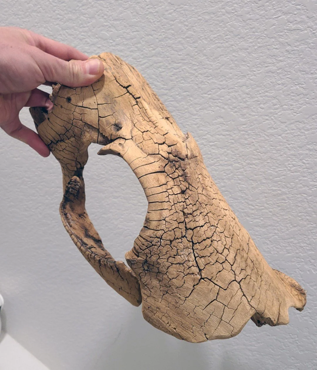 Dragon Eye_Progress (5).jpg