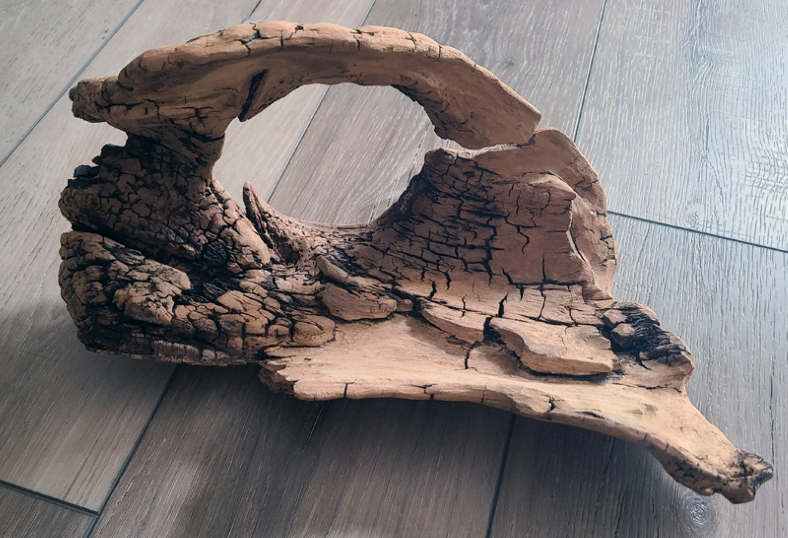 Dragon Eye