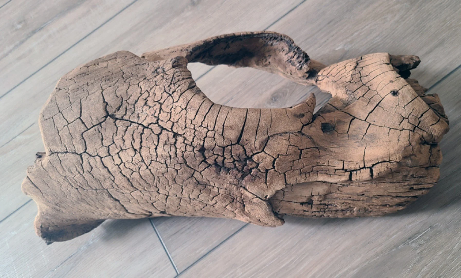 Dragon Eye_Progress (7).jpg
