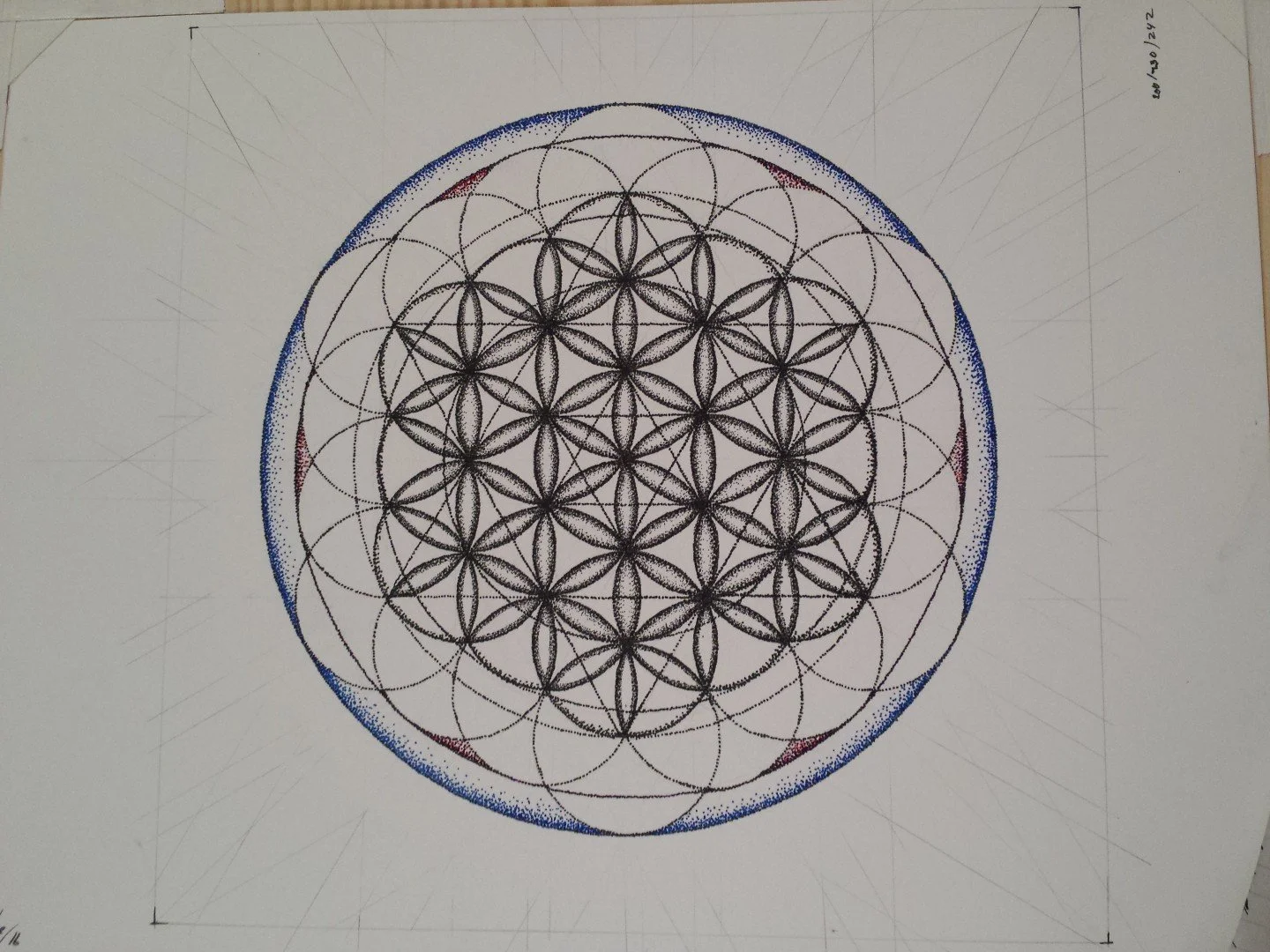 Flower of Life_Progress (3).jpg