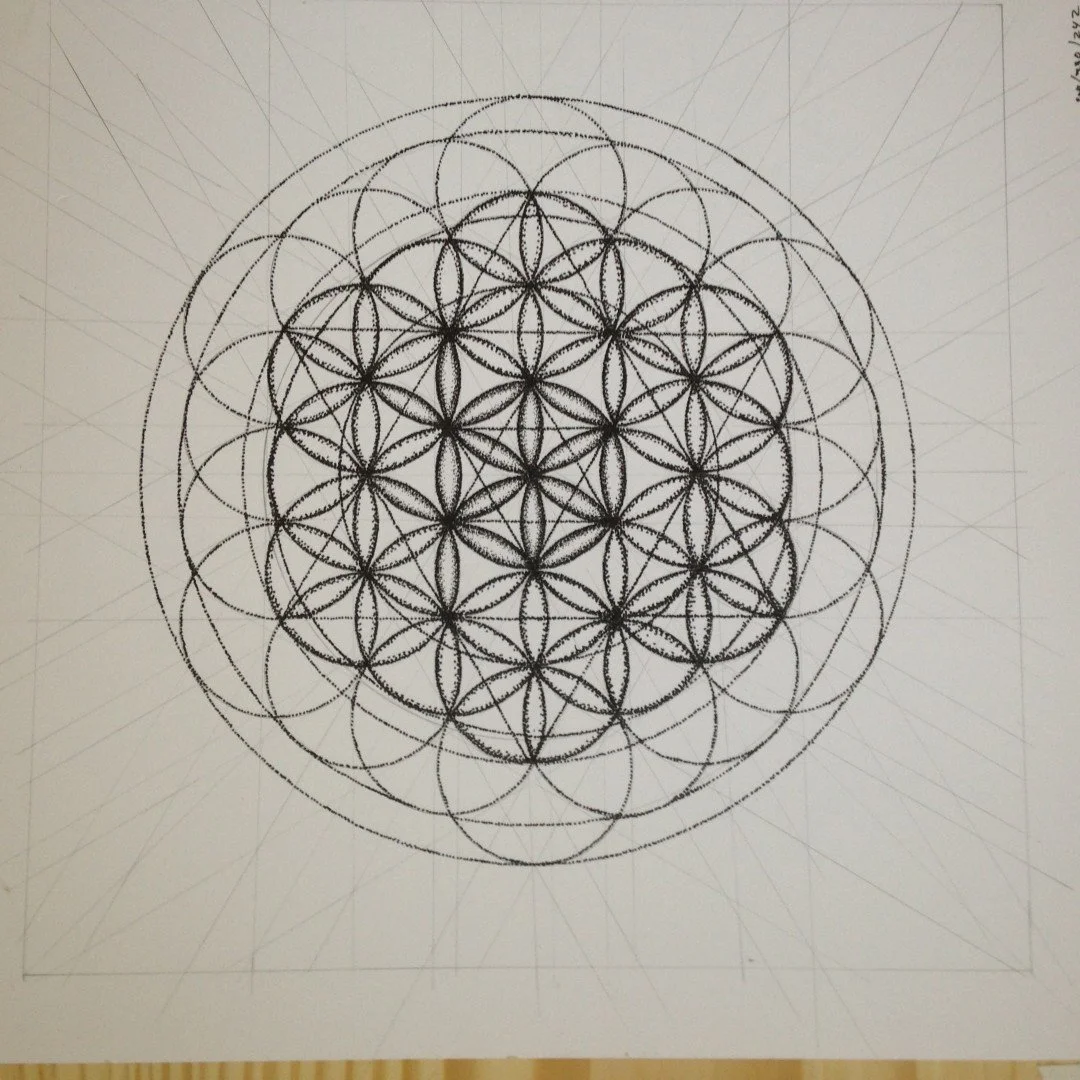 Flower of Life_Progress (9).JPG