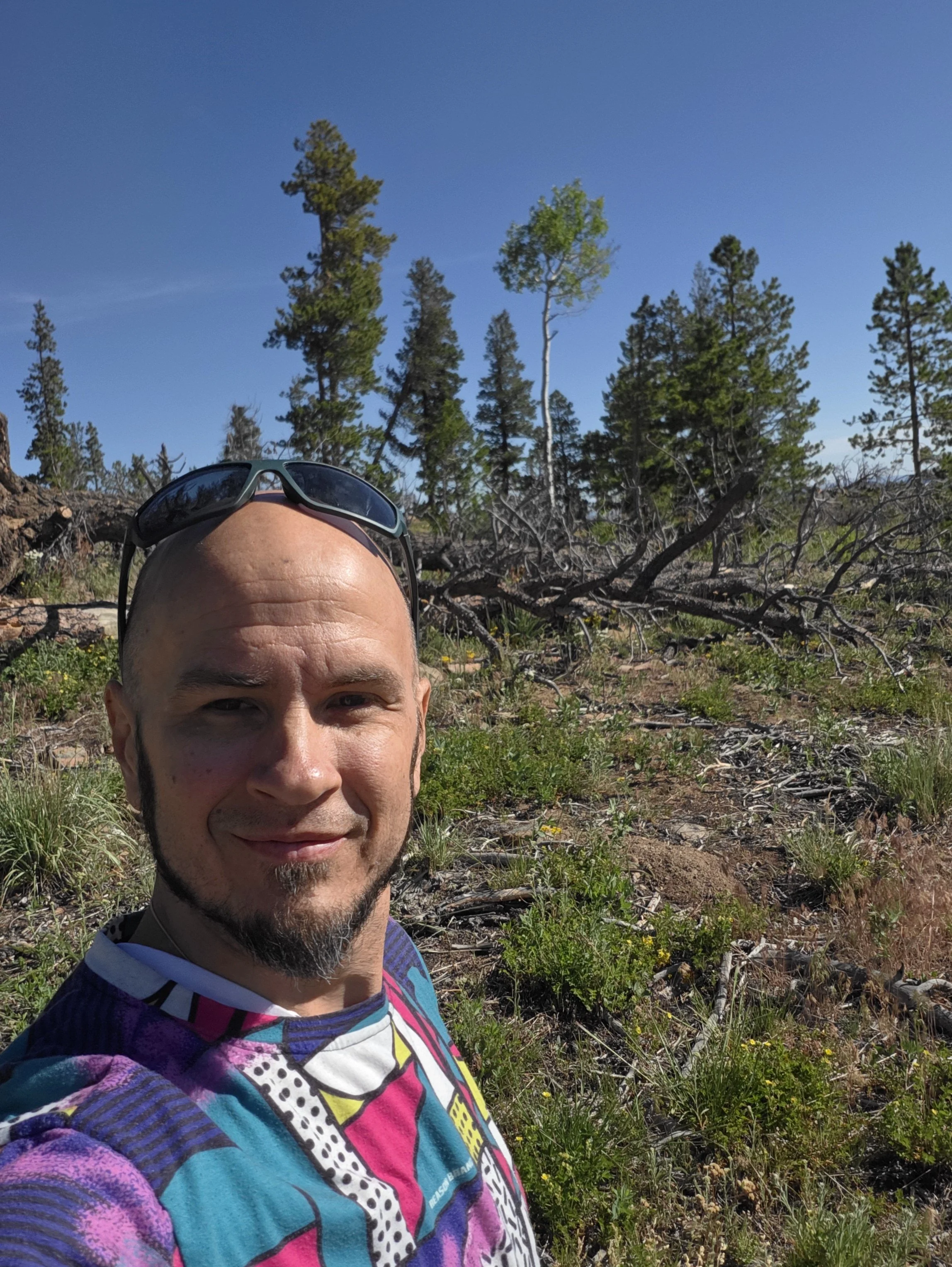 A man with a shaved head and sunglasses on his forehead taking a selfie in a natural outdoor setting with trees and plants.