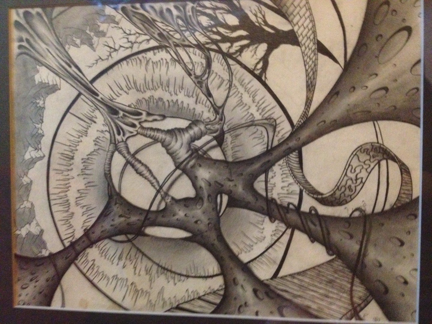 Chaos Web