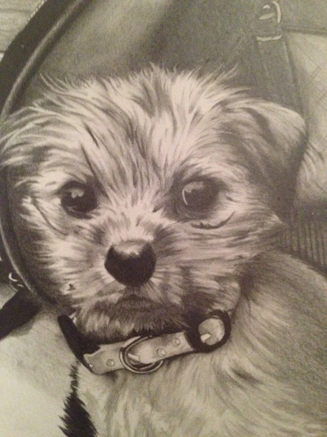 Pup_Detail (1).JPG