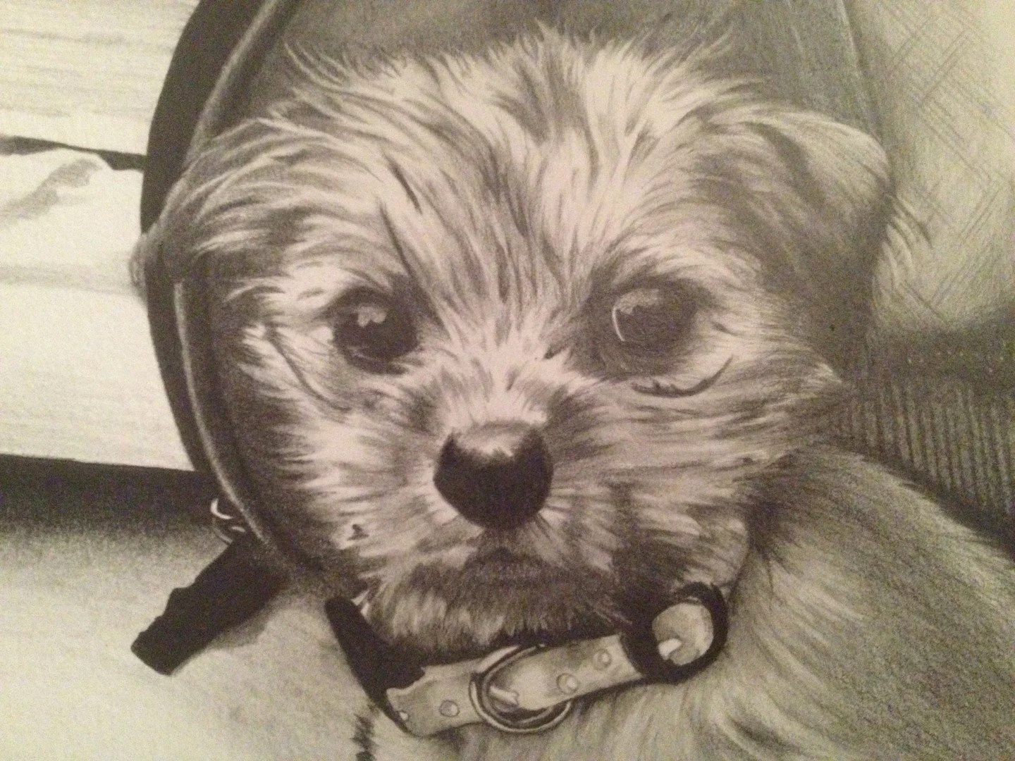 Pup_Detail (2).JPG