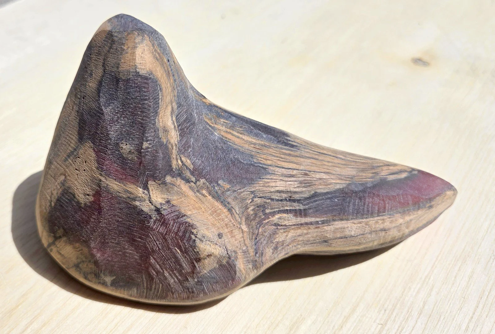 Shark Tooth