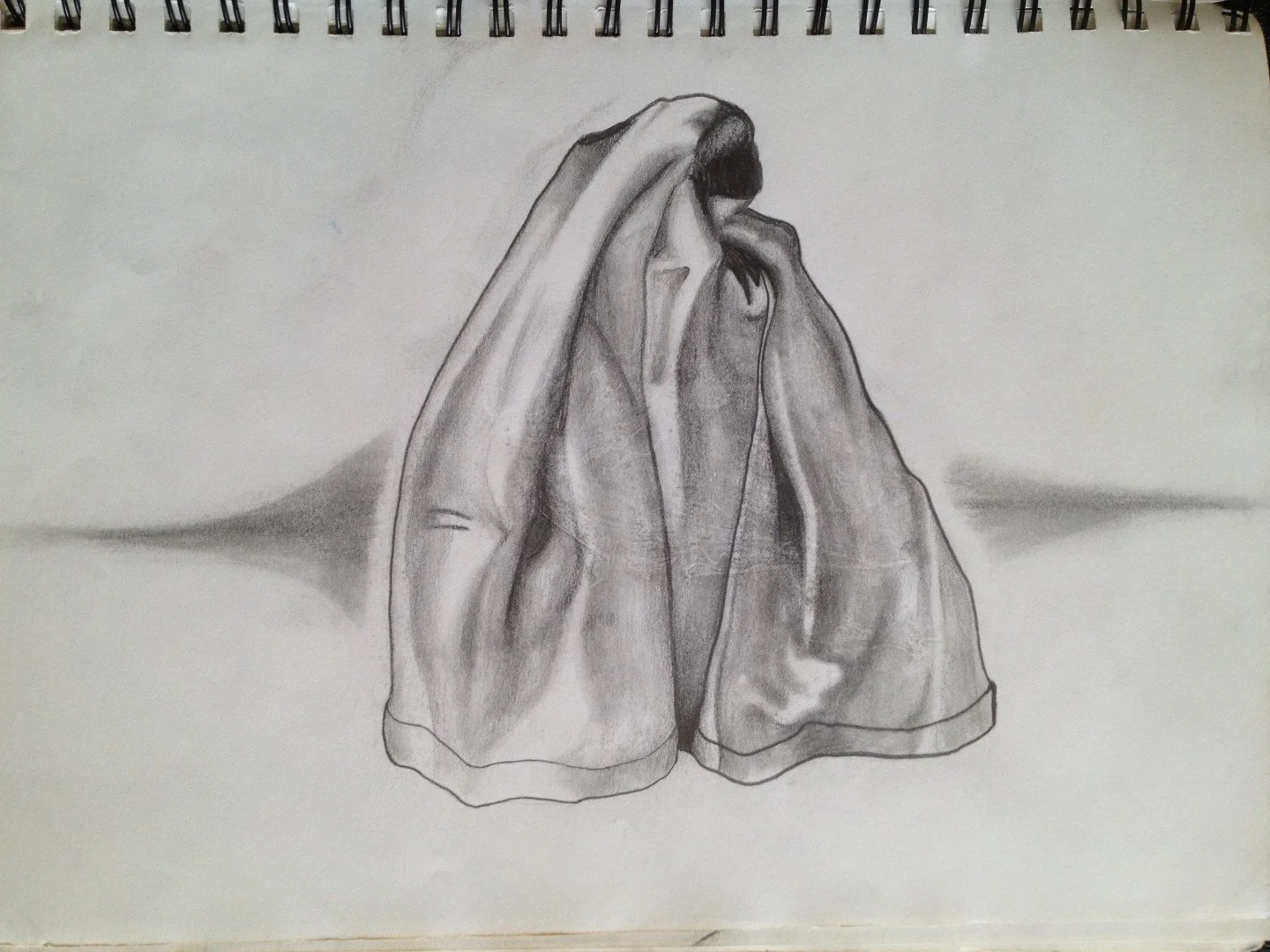 Value Study.JPG