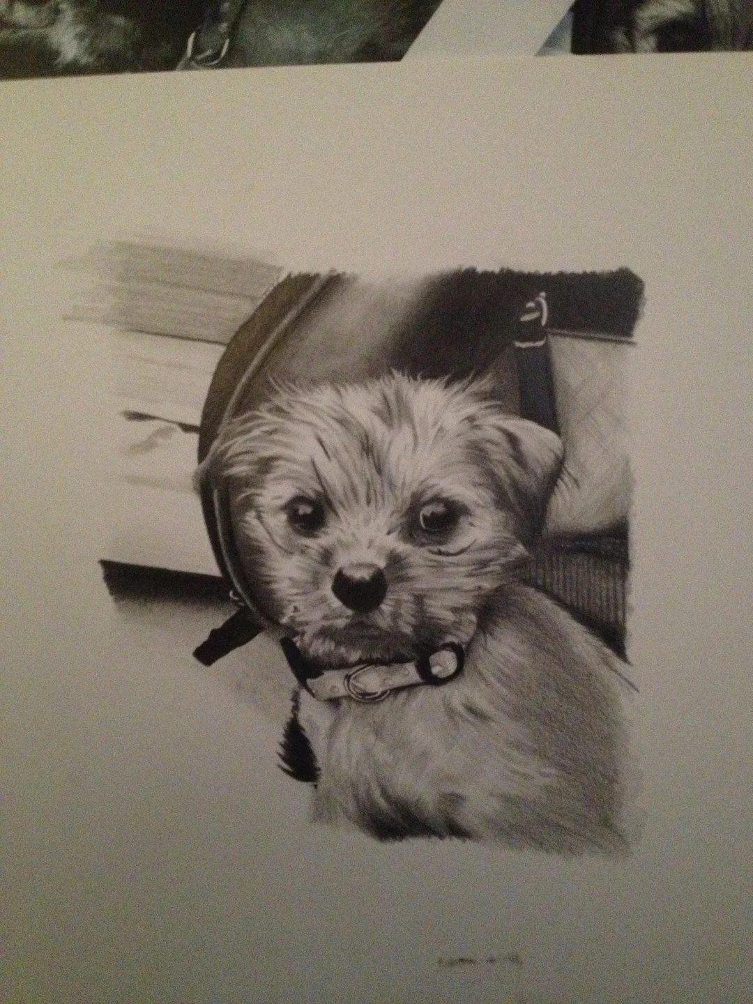 Pup (6).JPG