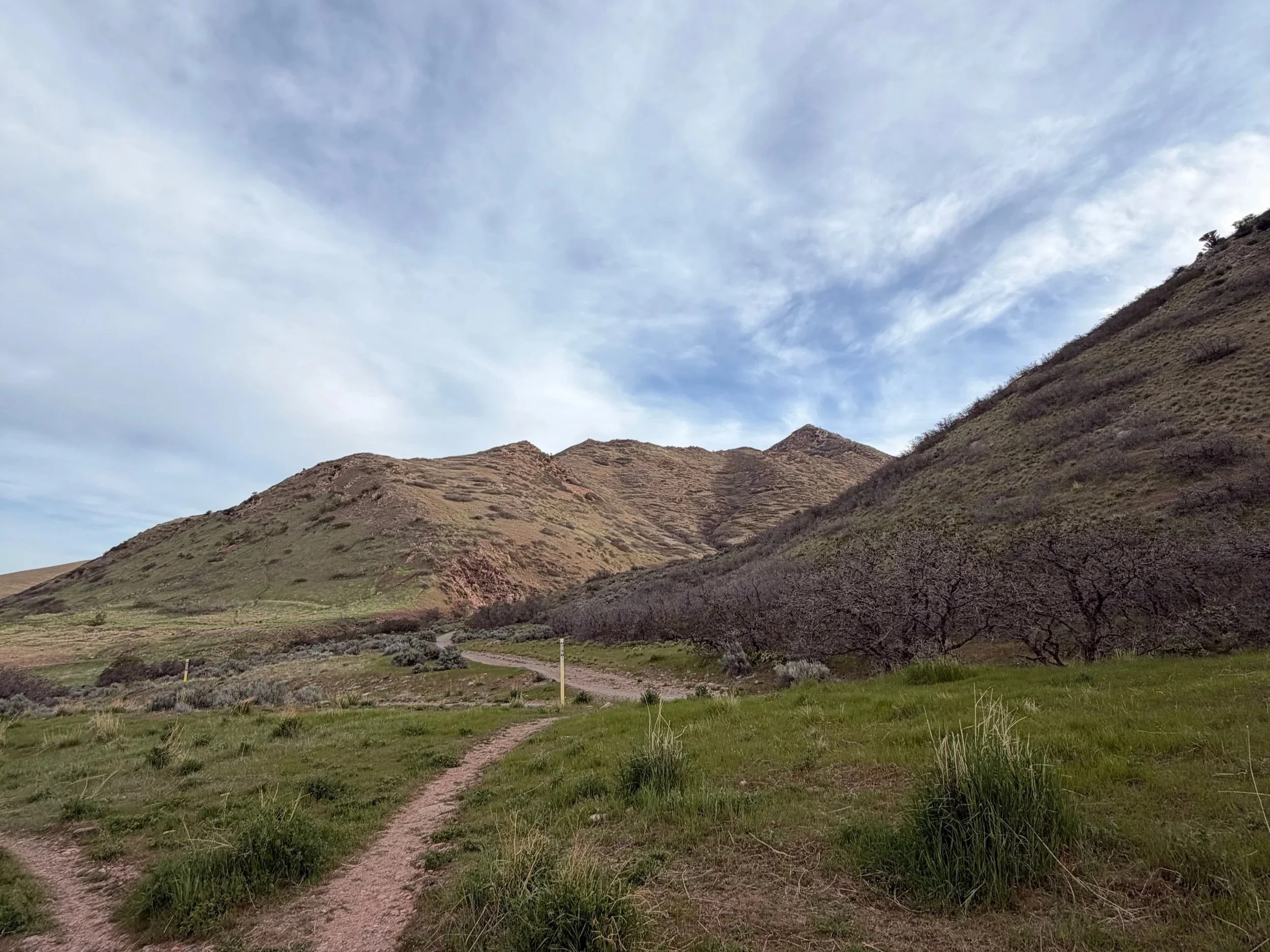 Changing things up after a very successful quad. Why I decided to go to the University of Utah