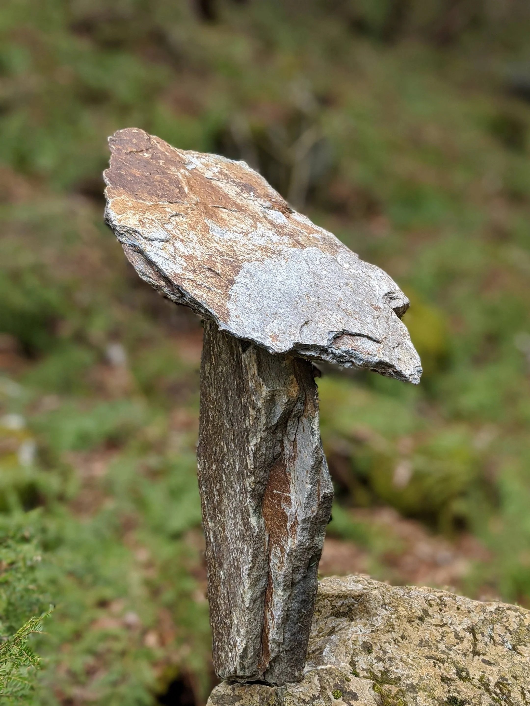 Close-up of a small weathered stone balancing on a piece of wood outdoors, with blurred greenery in the background.