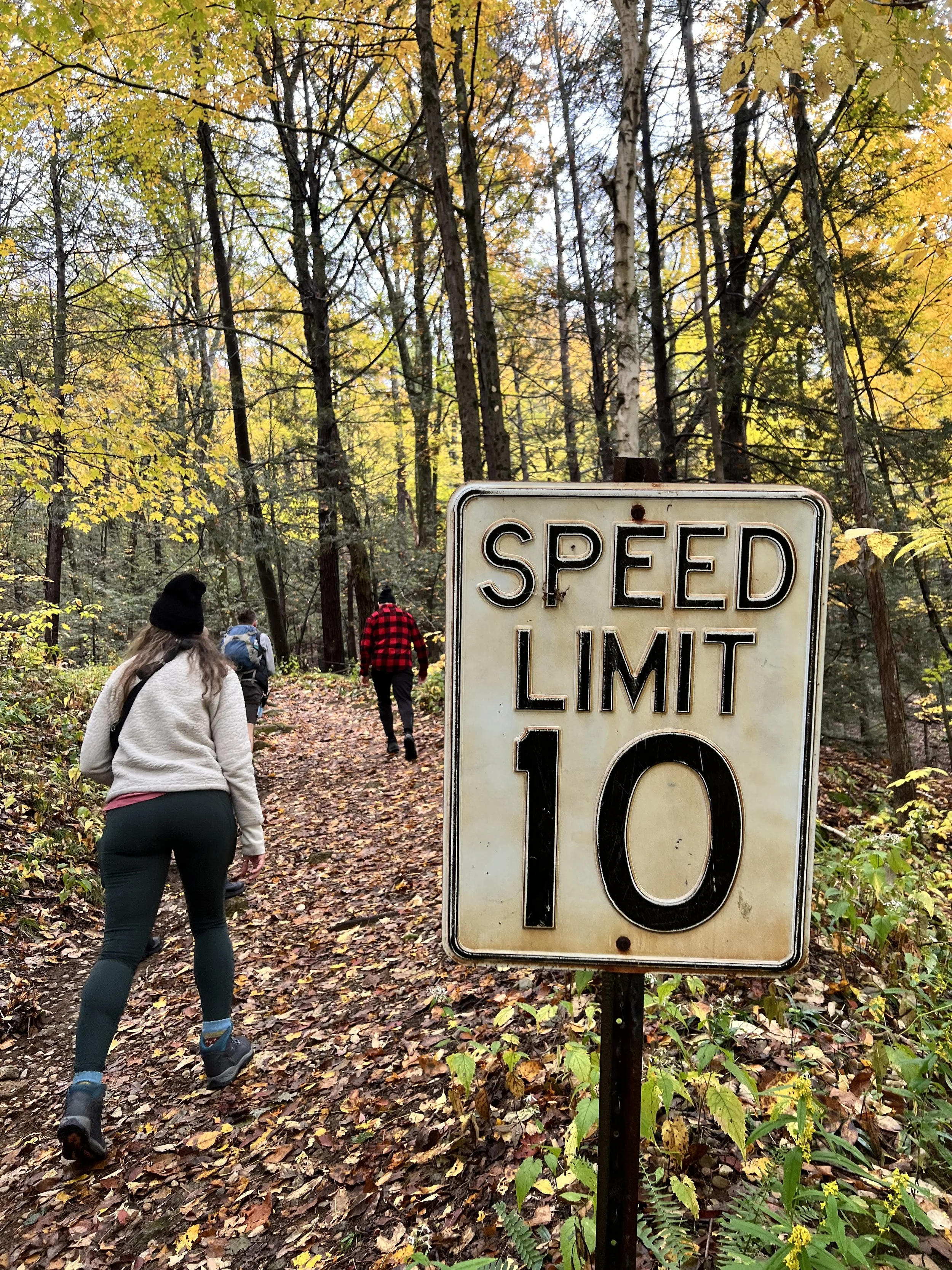 Hikers walking on a wooded trail during autumn, with yellow and orange leaves on the ground and trees. A sign in the foreground displays a speed limit of 10.