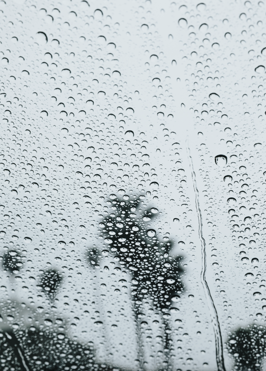 Water Whirled