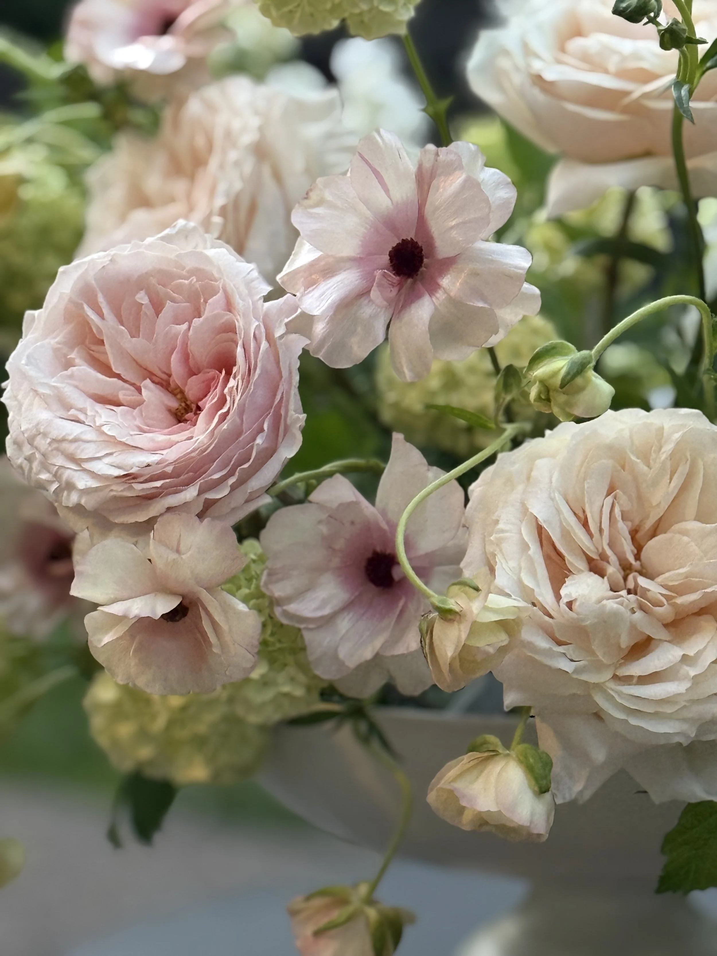 floral2.jpg