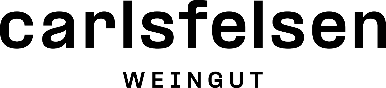 Dein Website-Titel