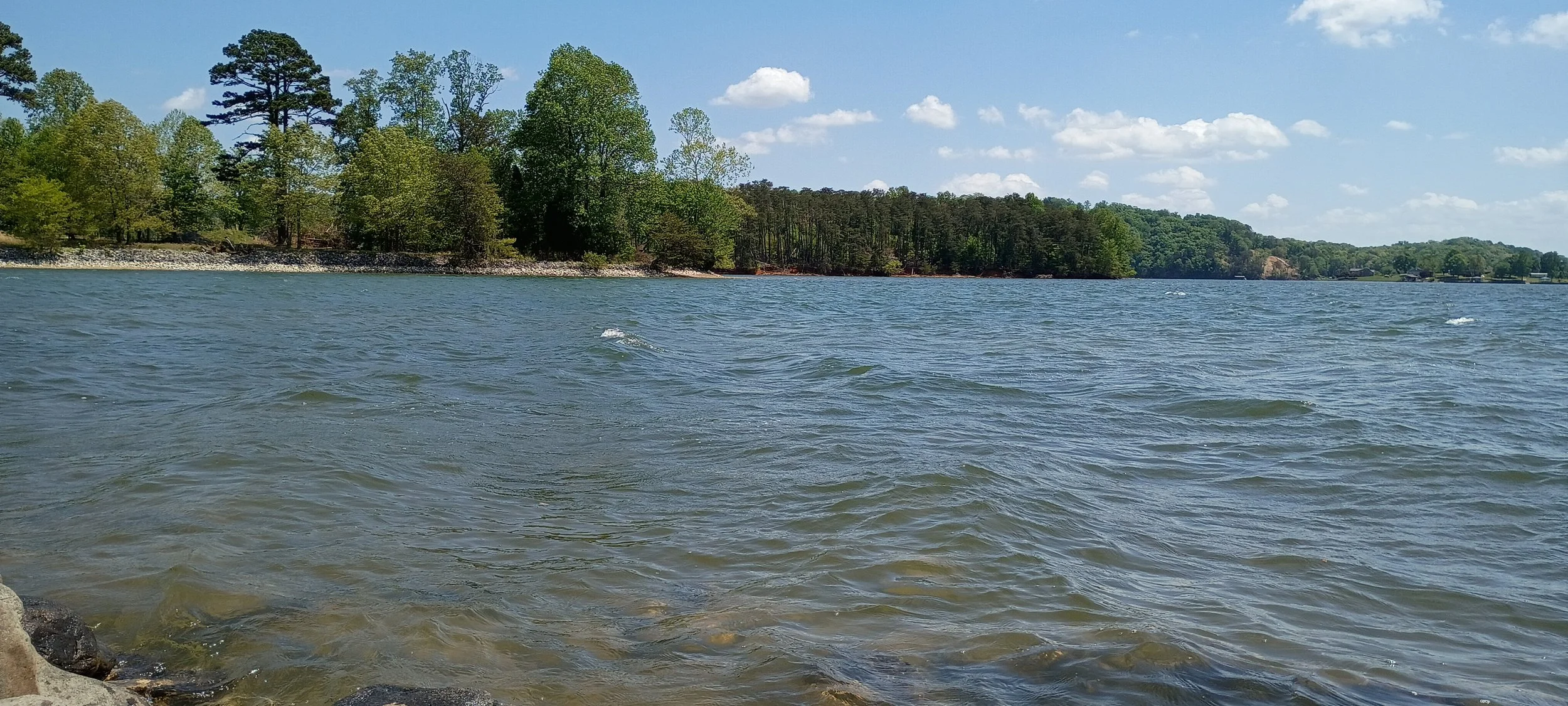 A lake or river with gentle waves, lined with green trees and a blue sky with scattered clouds.