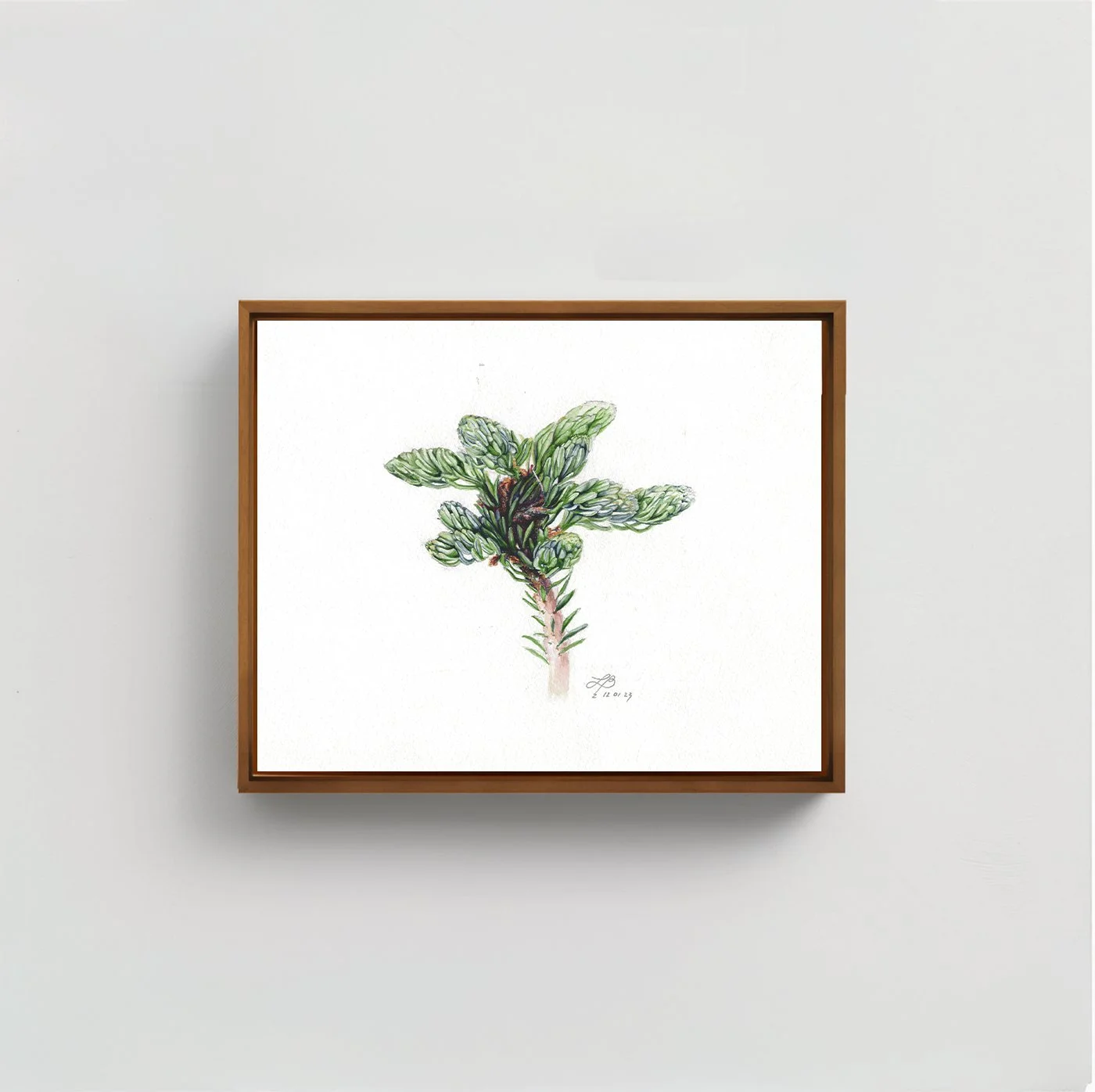 Fir | Watercolor on Paper | 9 x 12 inches