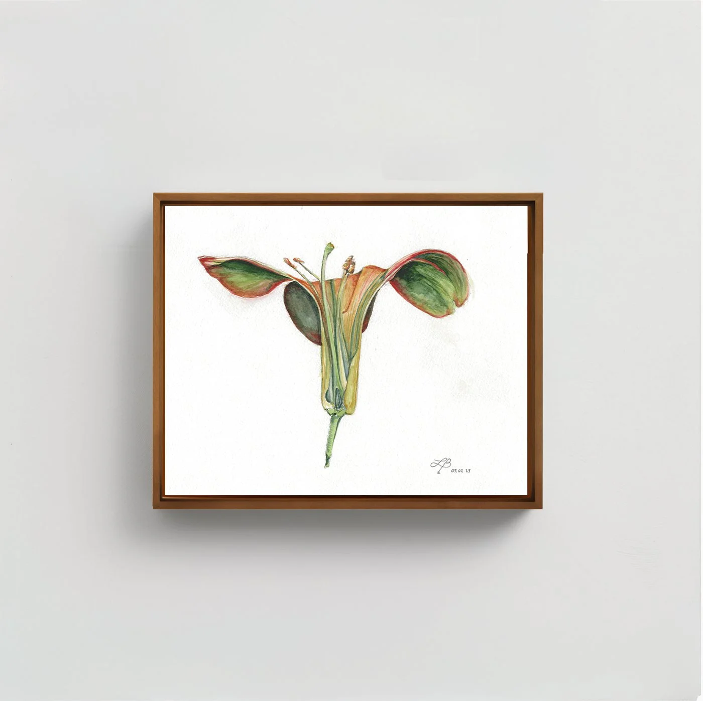 Lily | Watercolor on Paper | 9 x 12 inches