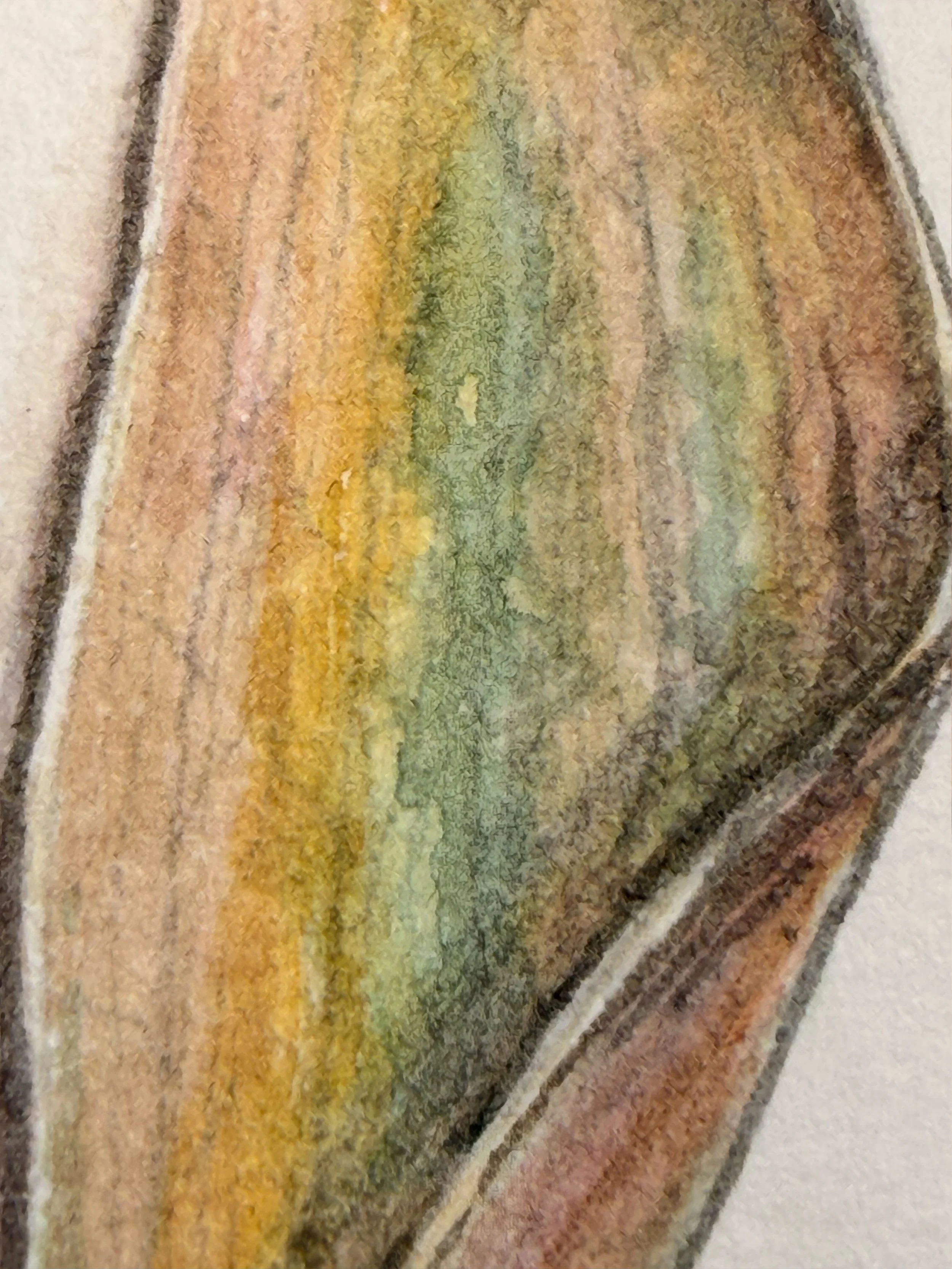 Acacia-Detail.jpg