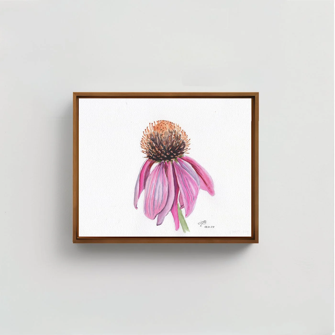 Coneflower | Watercolor on Paper | 8 x 10 inches
