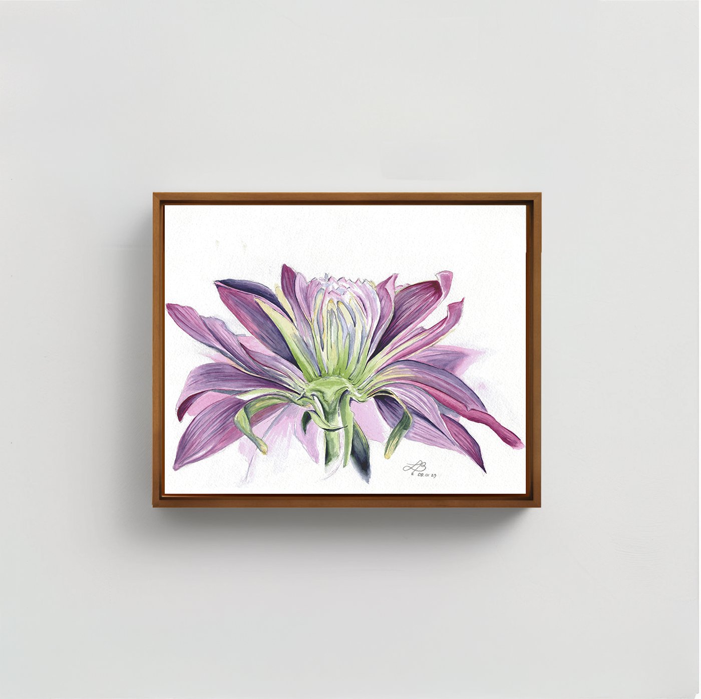 Dahlia | Watercolor on Paper | 9 x 12 inches