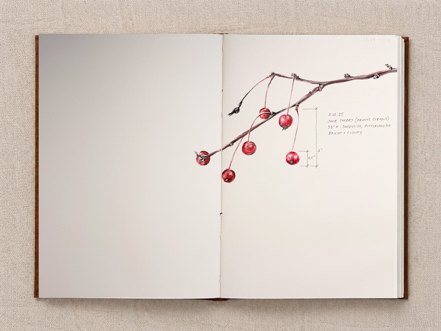 October 29 - November 4