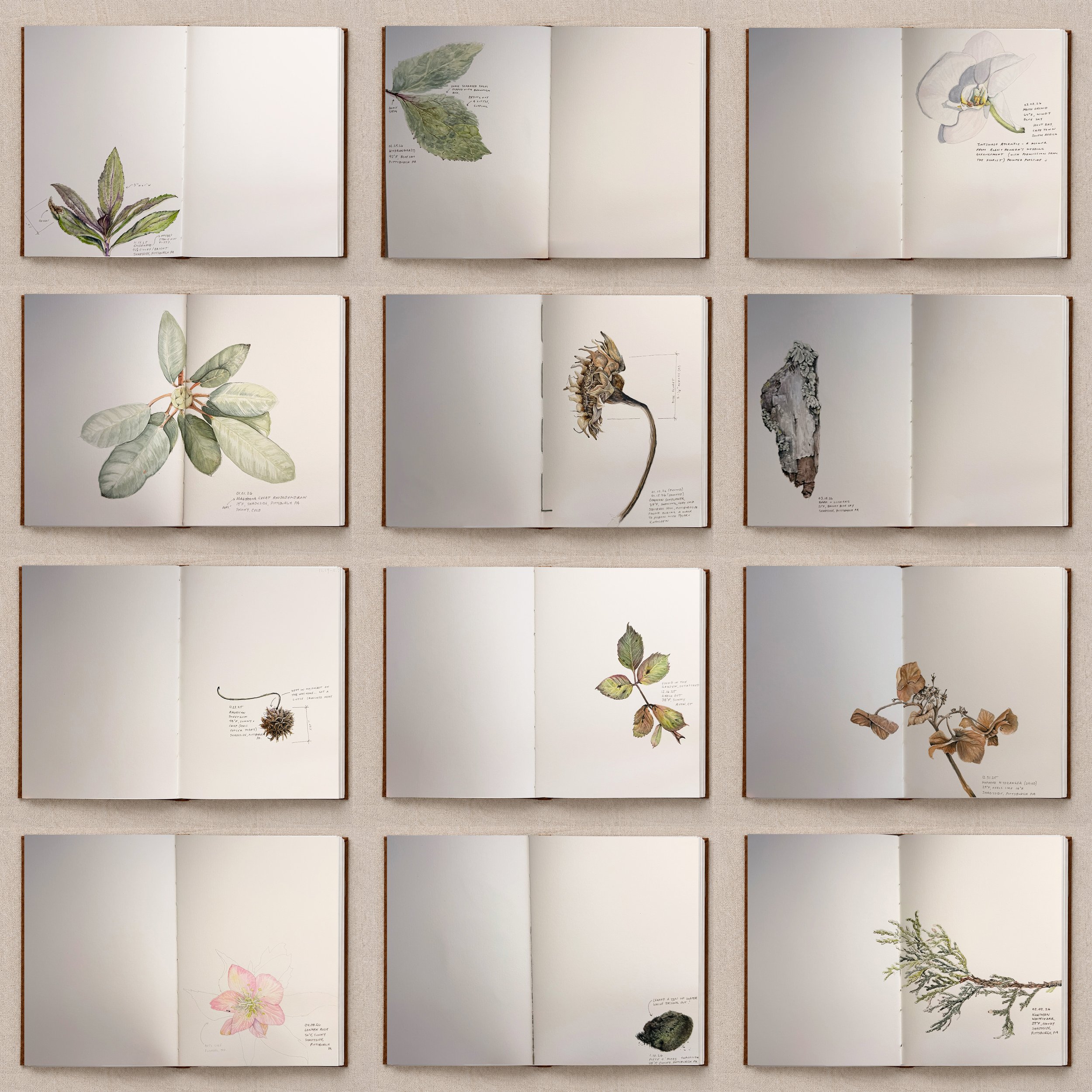 Journal