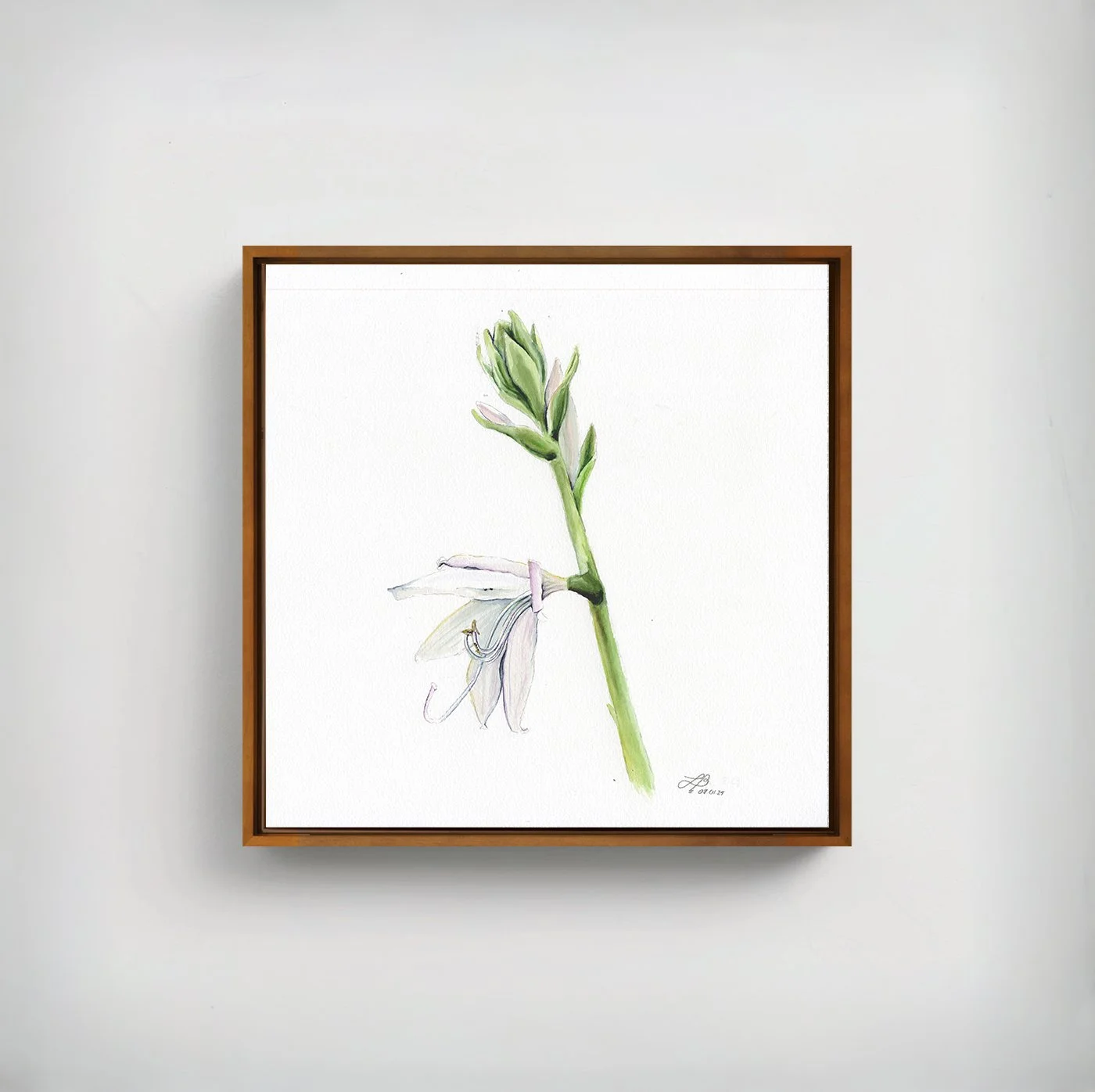 White Lily | Watercolor on Paper | 12 x 12 inches