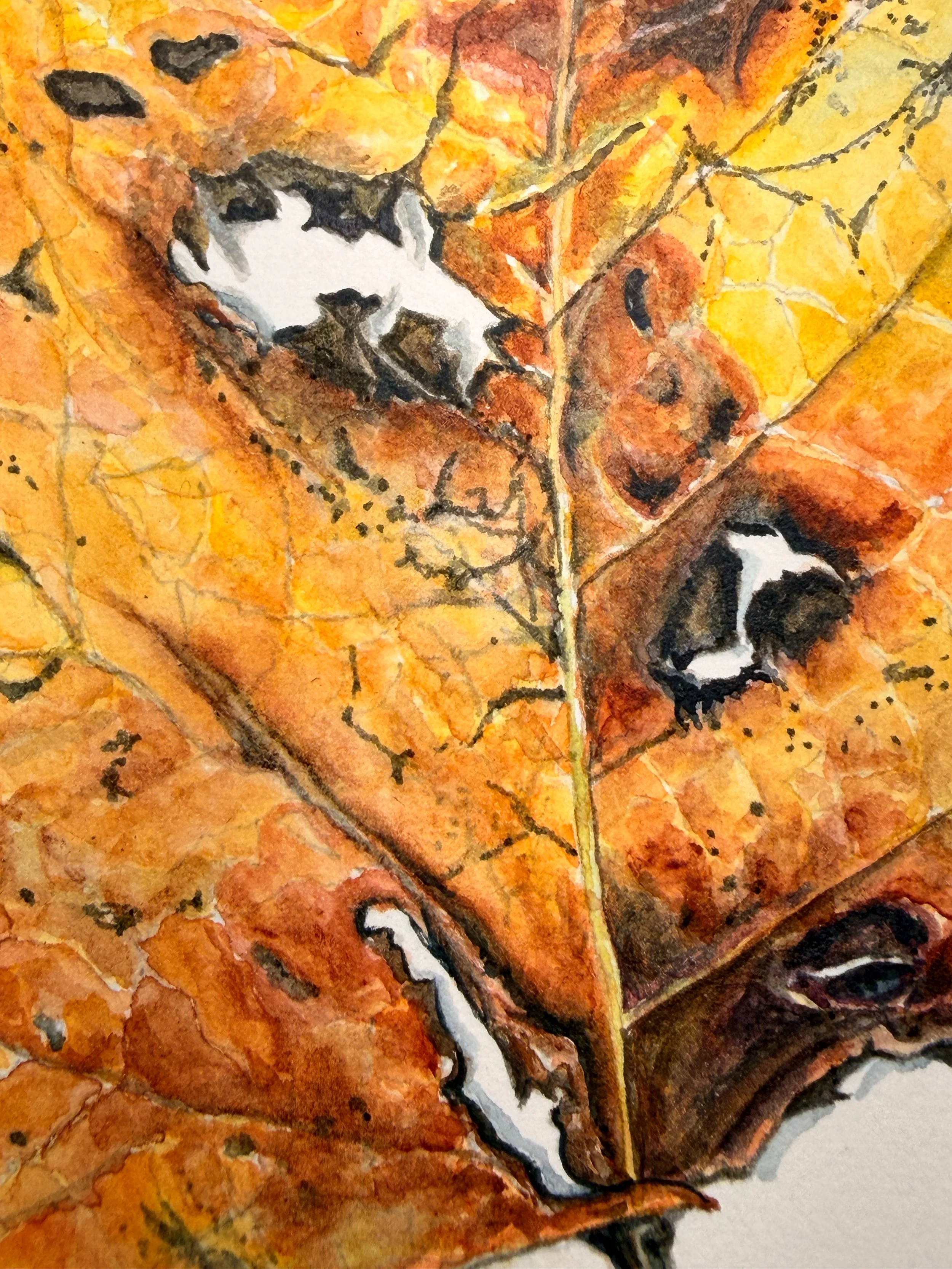Boffi-Liza_Duboce_Tulip-Tree_Detail.jpg