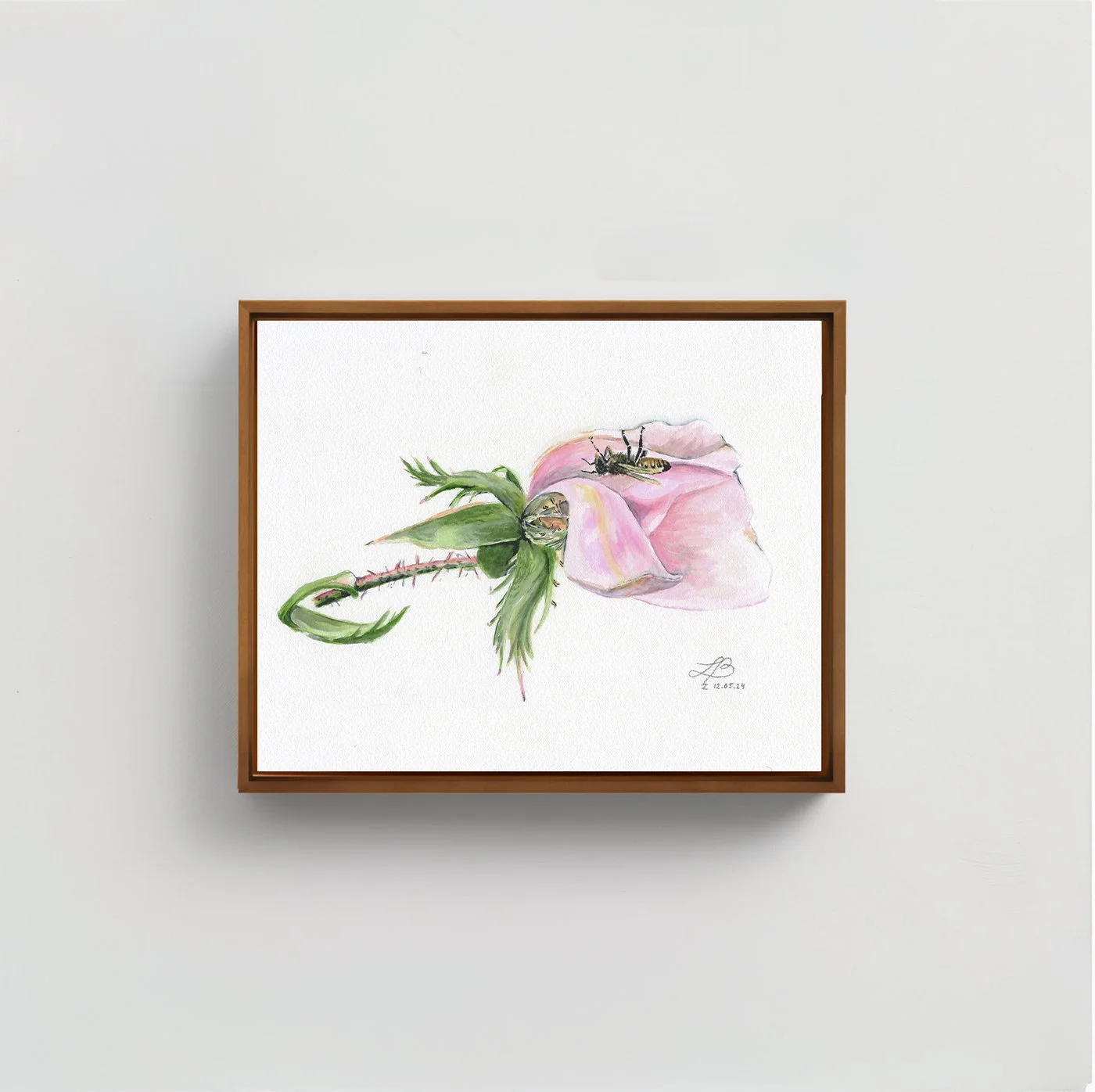 Rose of Sharon and Bee | Watercolor on Paper | 9 x 12 inches