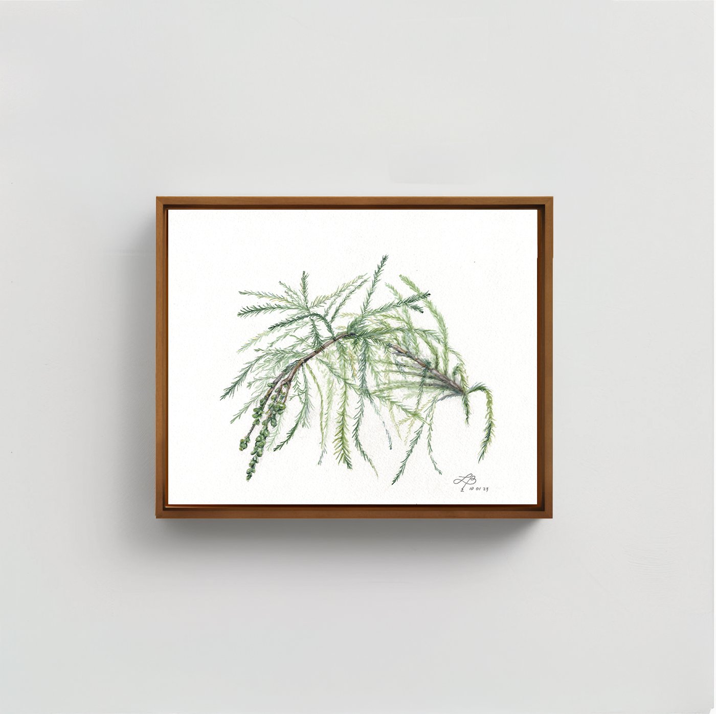 Cypress | Watercolor on Paper | 9 x 12 inches