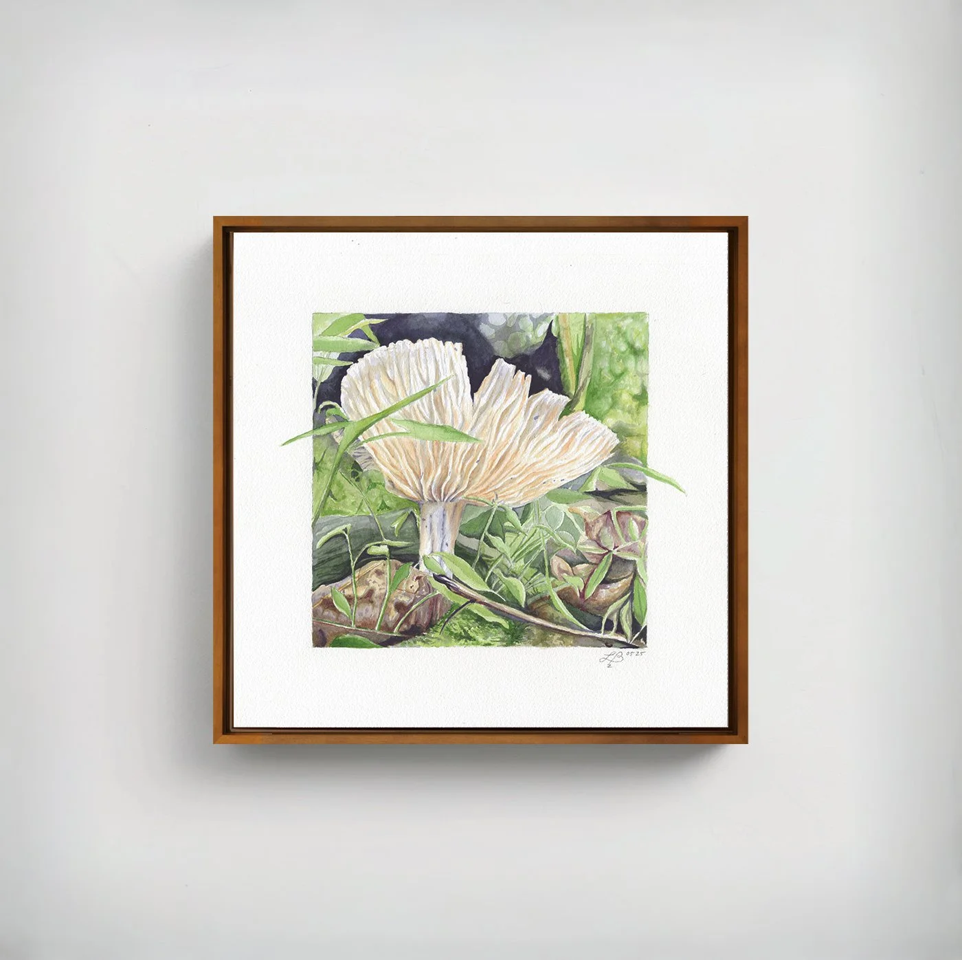Broadgill Mushroom | Watercolor on Paper | 12 x 12 inches