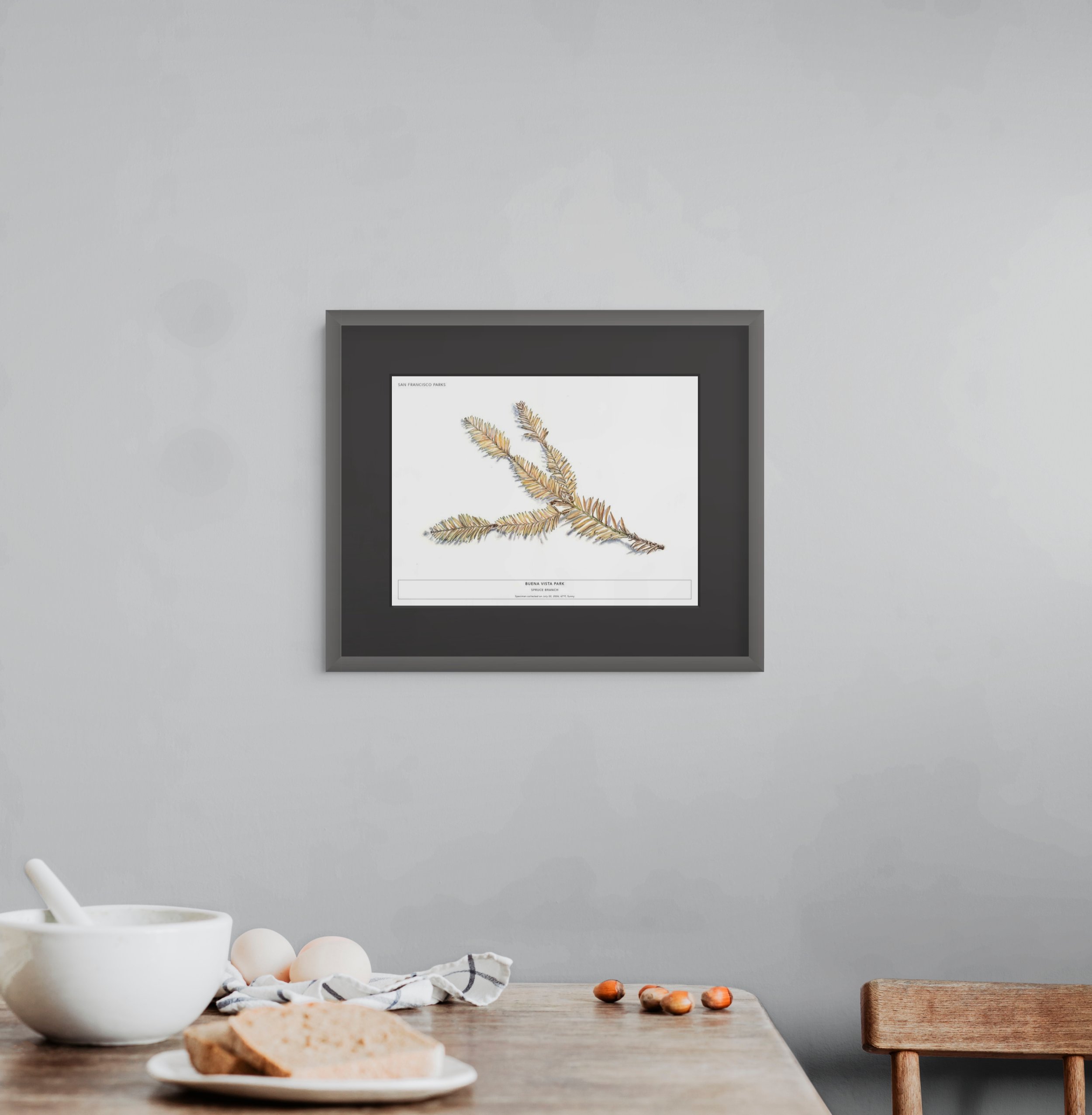 spruce branch-full.jpg