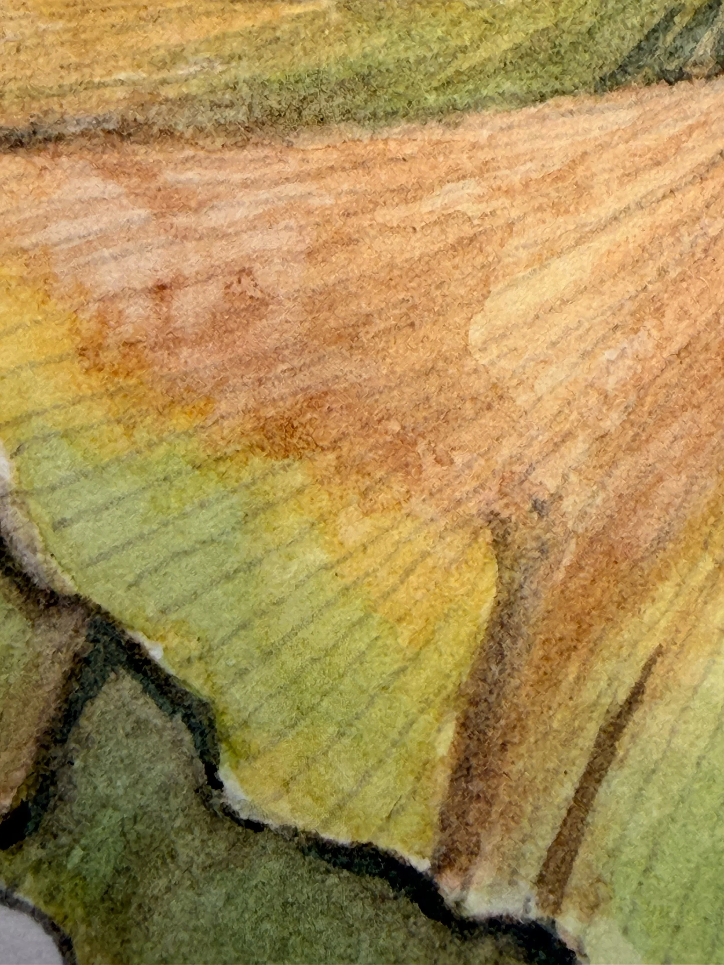 Ginkgo Detail.jpg