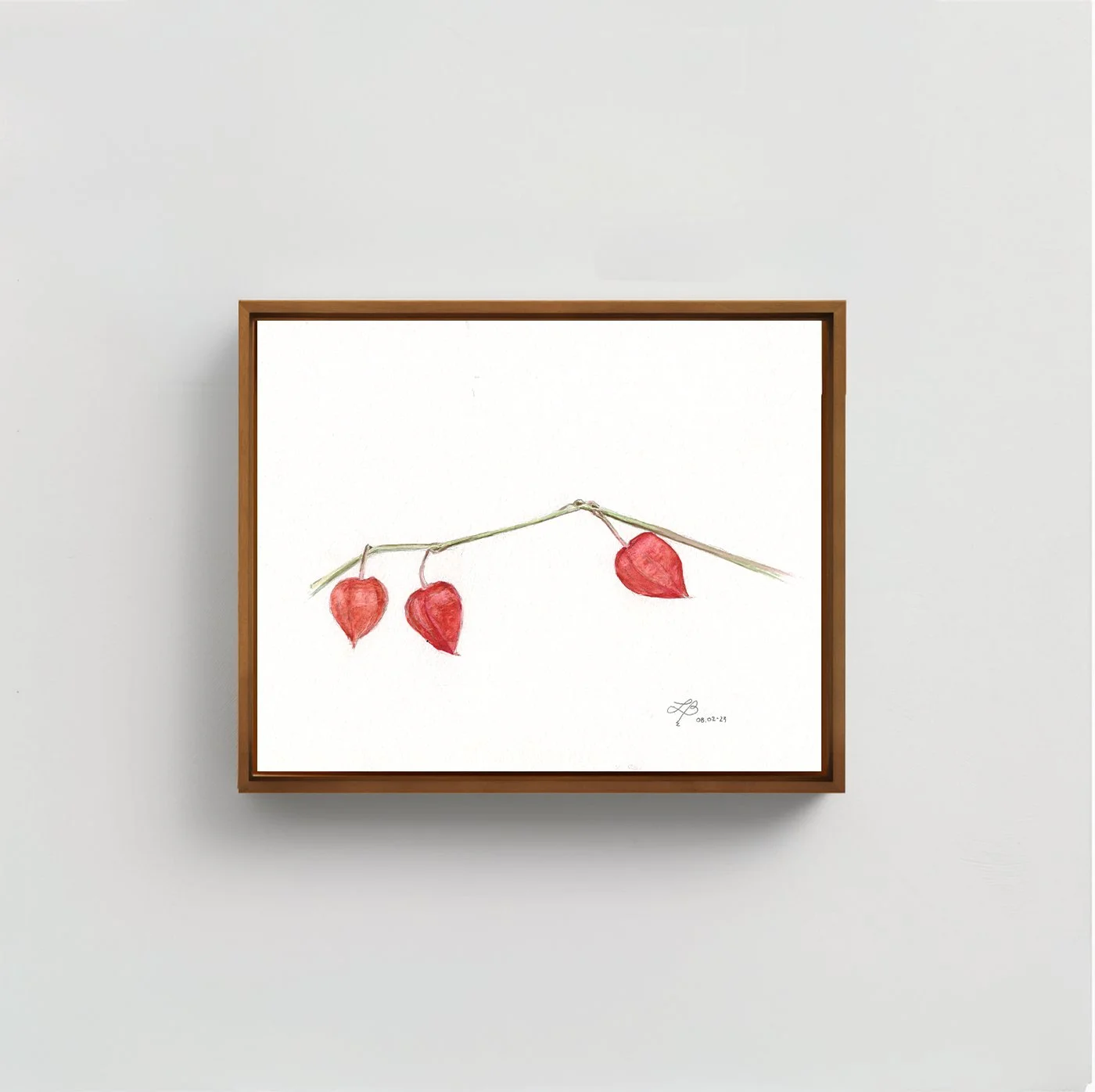 Chinese Lantern | Watercolor on Paper | 9 x 12 inches