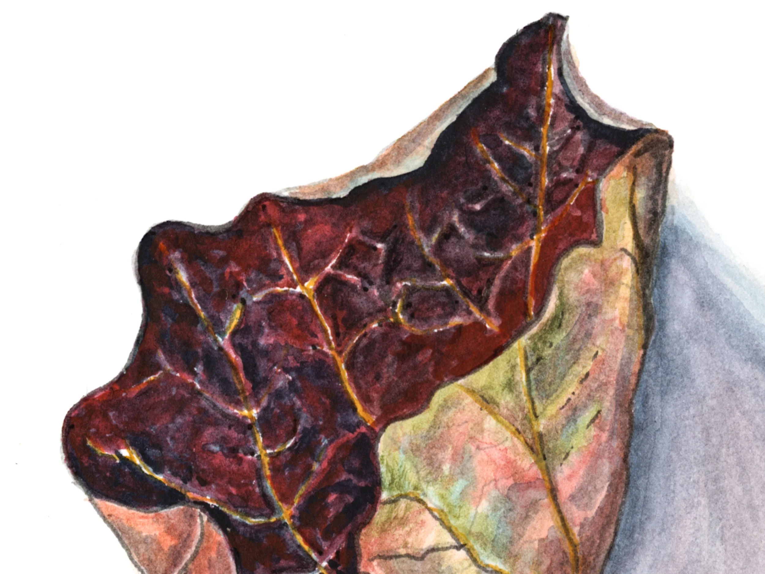 Poplar-Detail.jpg