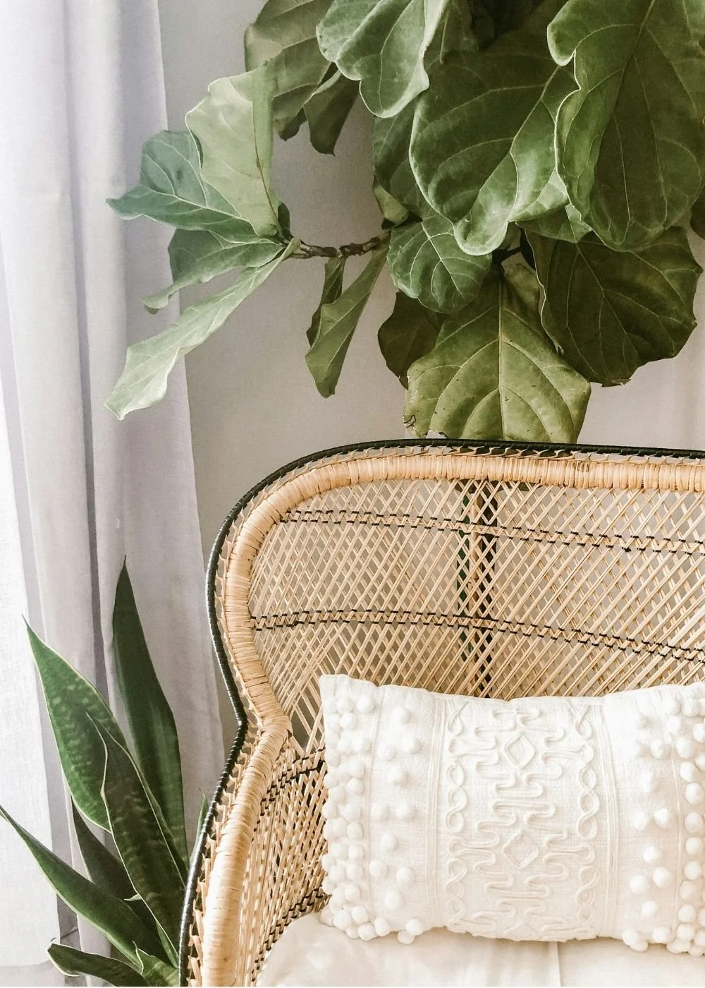 A wicker chair with a decorative white pillow in front of large green leafy plants near a window.