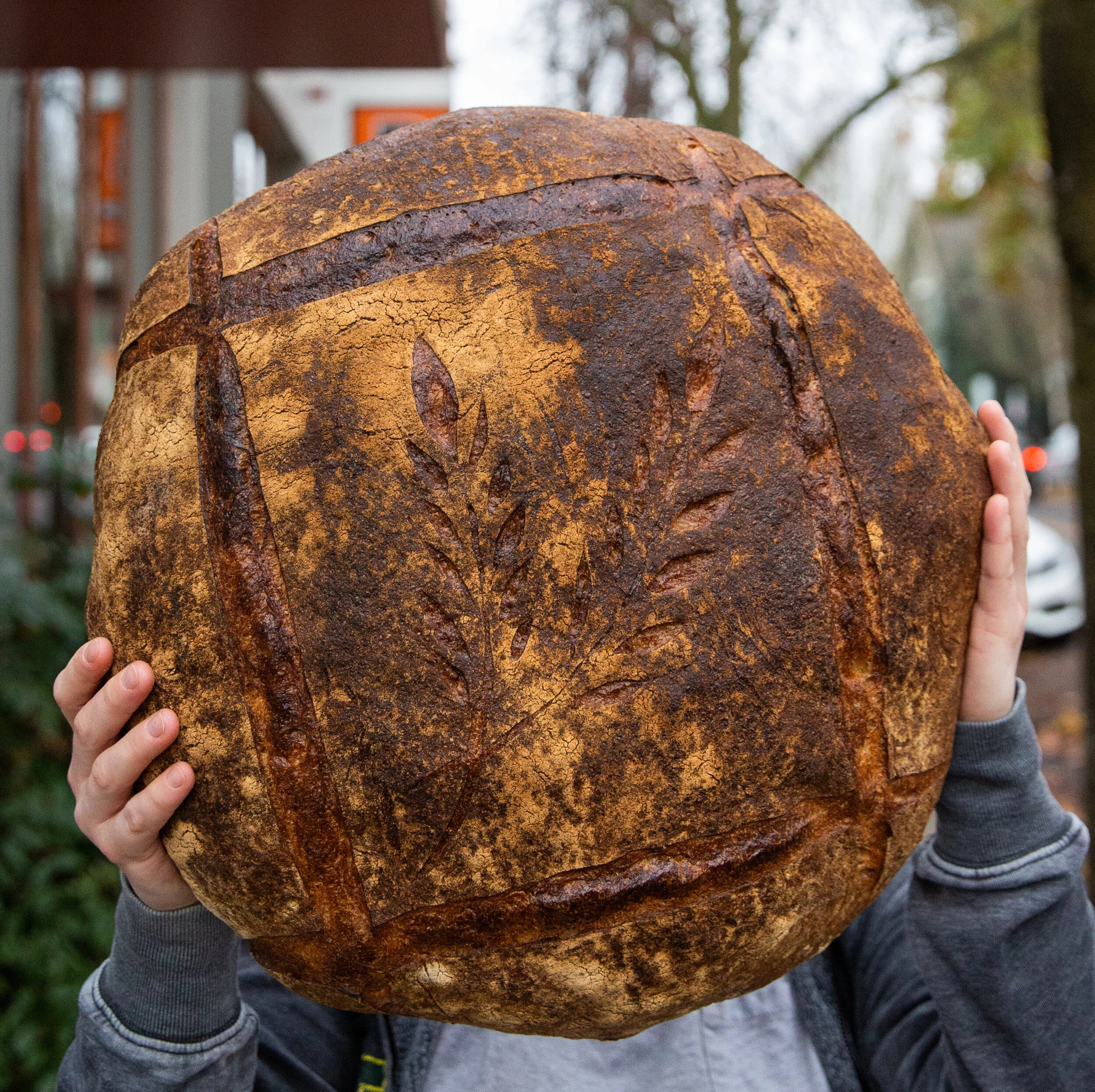 Kens_Artisan_Bakery_Dec_10_2019_alanweinerphotos_00484 copy.jpg