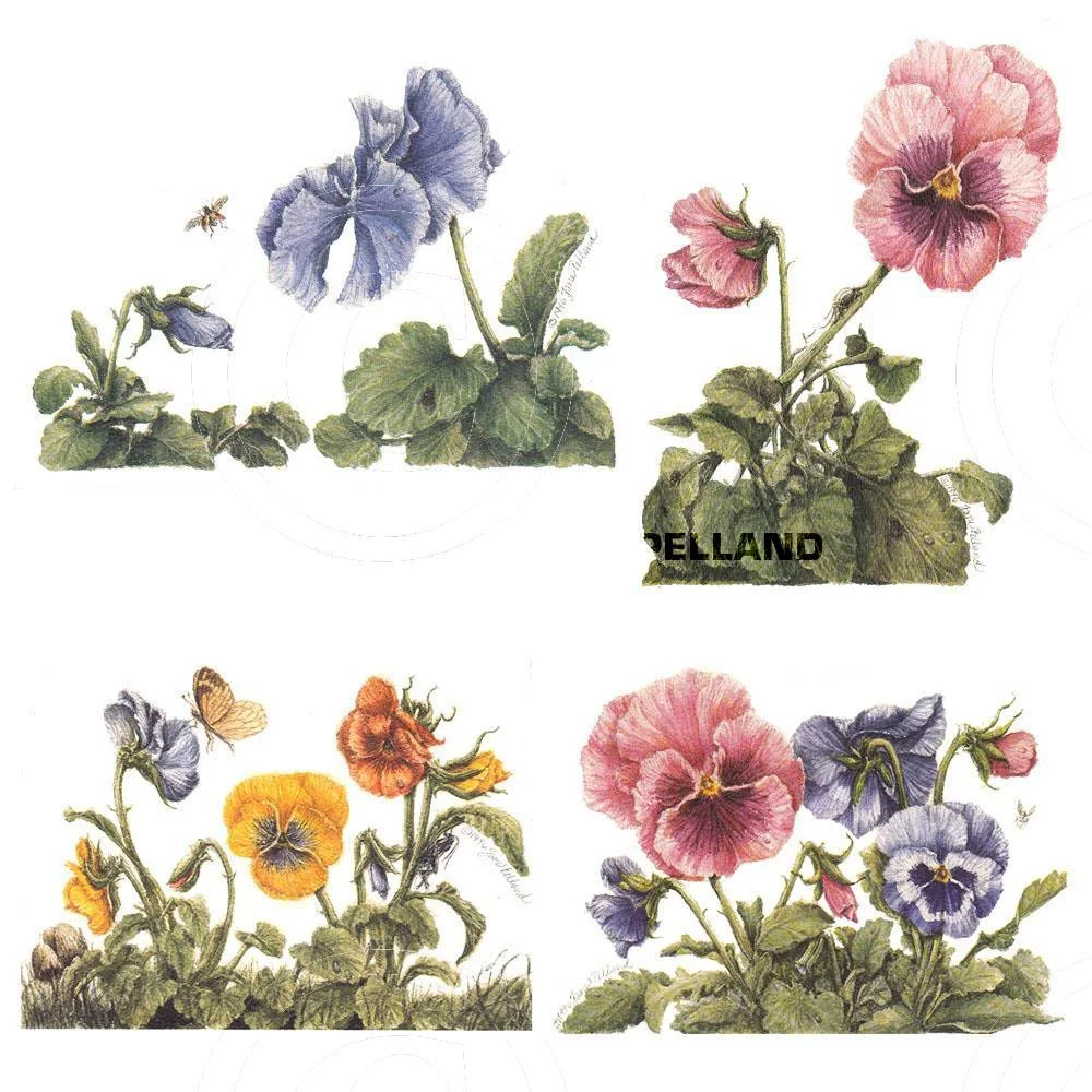 Assorted Pansies
