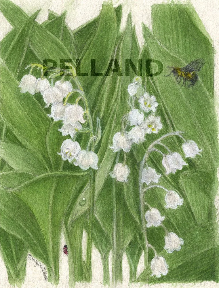 lily-of-the-valley.jpg
