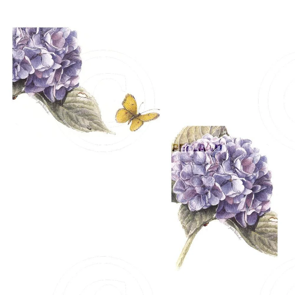 Assorted  Hydrangeas