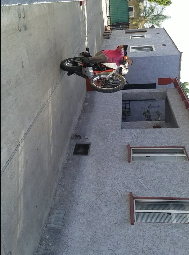 Honda TLR Wheelie